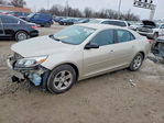 Chevrolet Malibu 2013