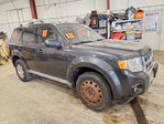 Ford Escape 2009