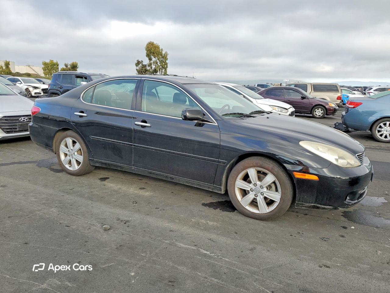 Lexus ES 2006