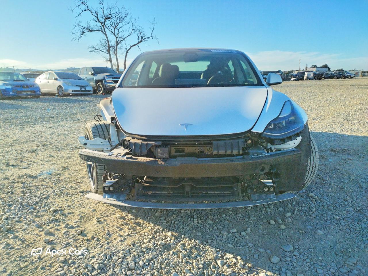 Tesla Model 3 2021