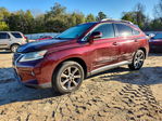 Lexus RX 2013