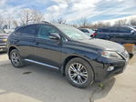 Lexus RX 2014