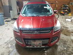 Ford Escape 2015