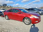 Hyundai Sonata 2013