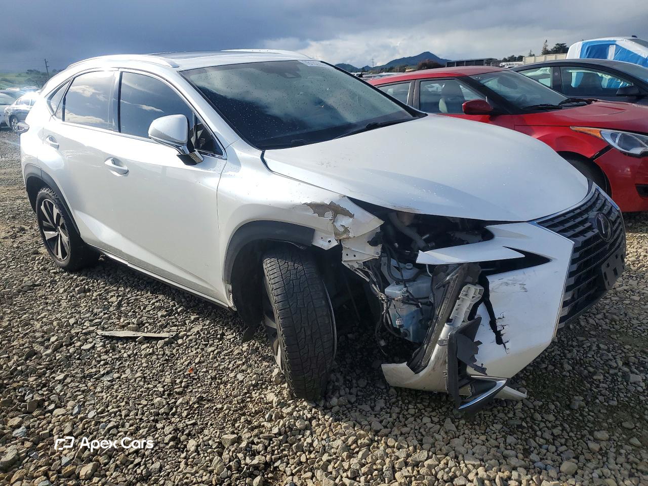 Lexus NX 2020