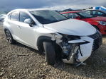 Lexus NX 2020