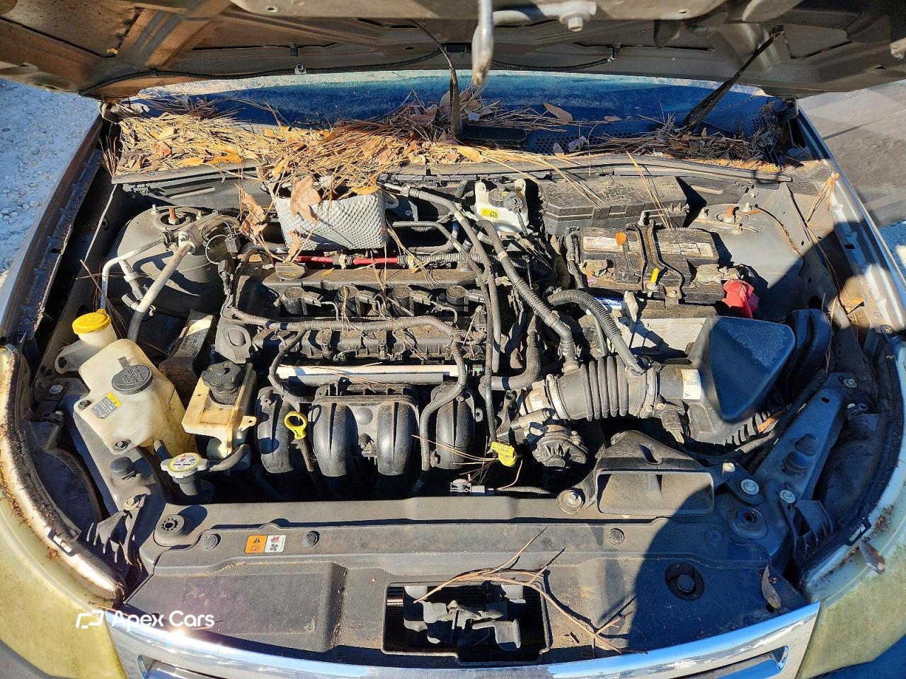 Ford Focus 2010
