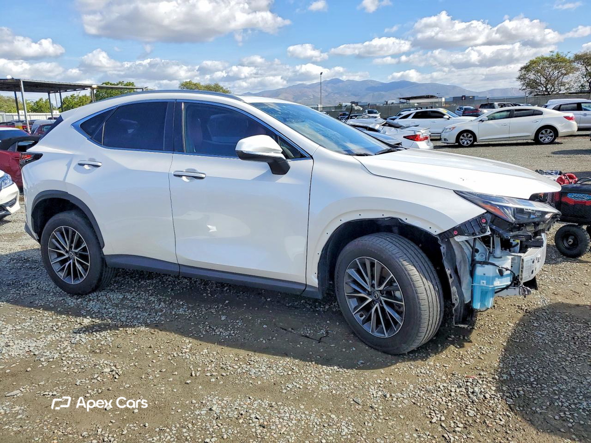 Lexus NX 2024
