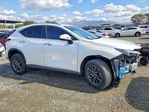Lexus NX 2024