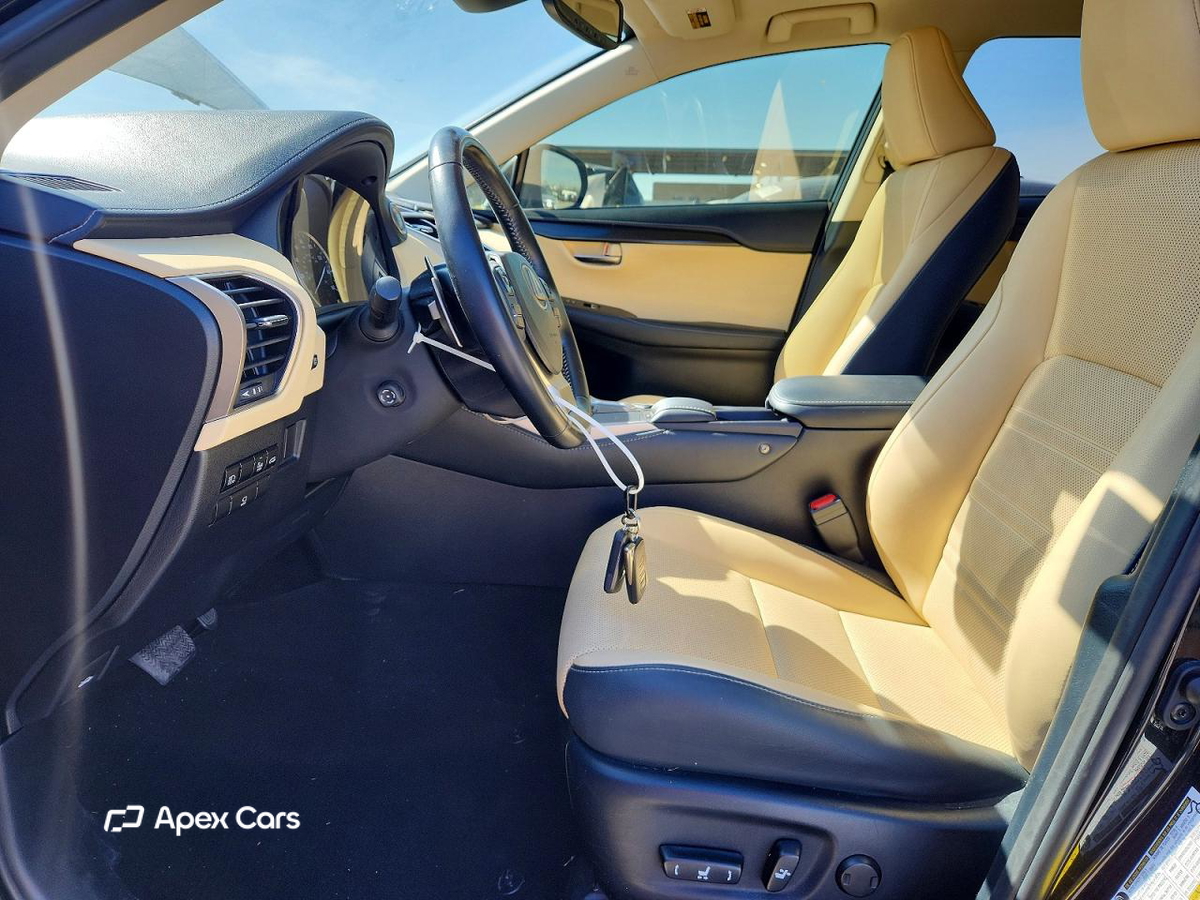 Lexus NX 2020