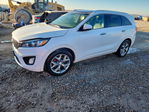 Kia Sorento 2017