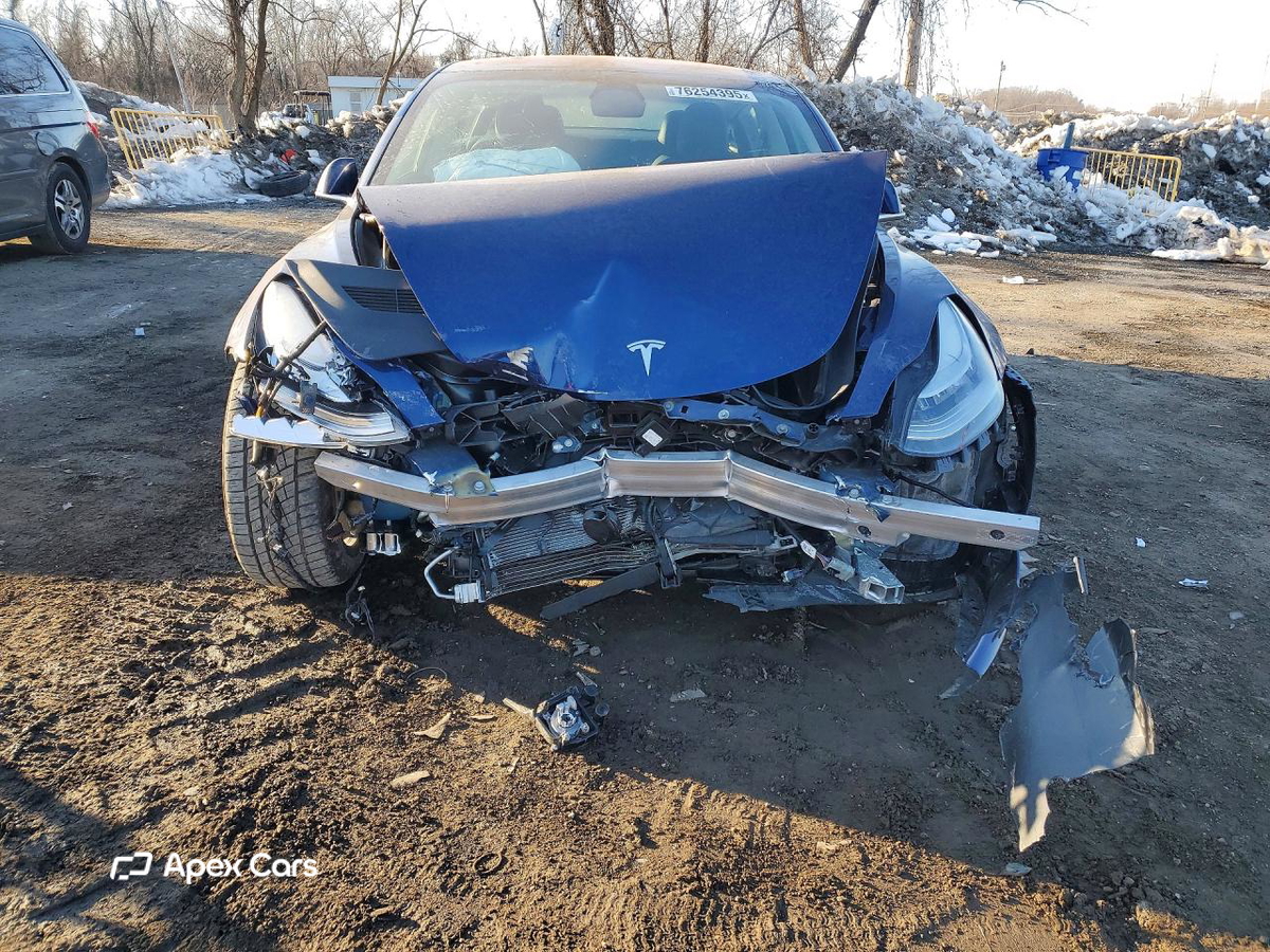 Tesla Model 3 2019