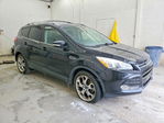 Ford Escape 2013