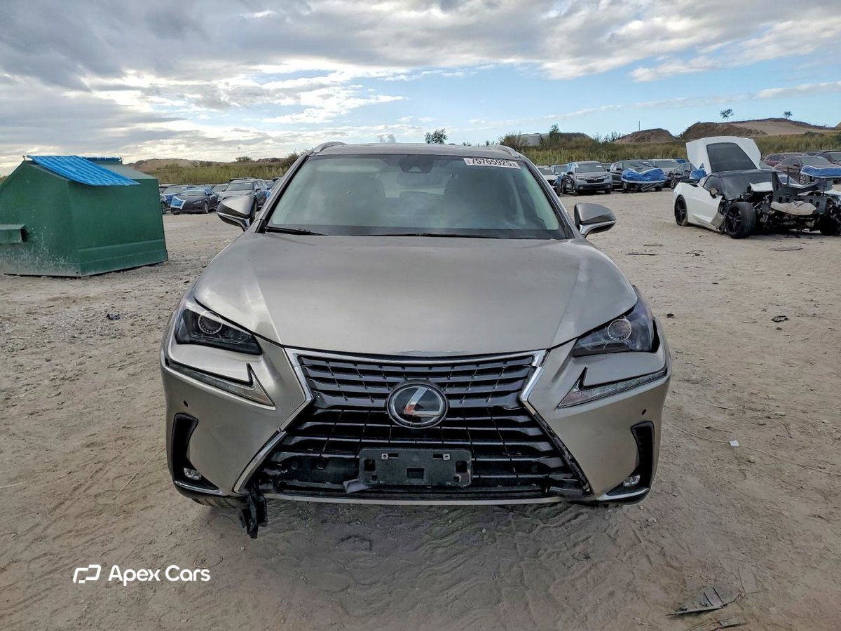 Lexus NX 2020