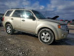 Ford Escape 2010