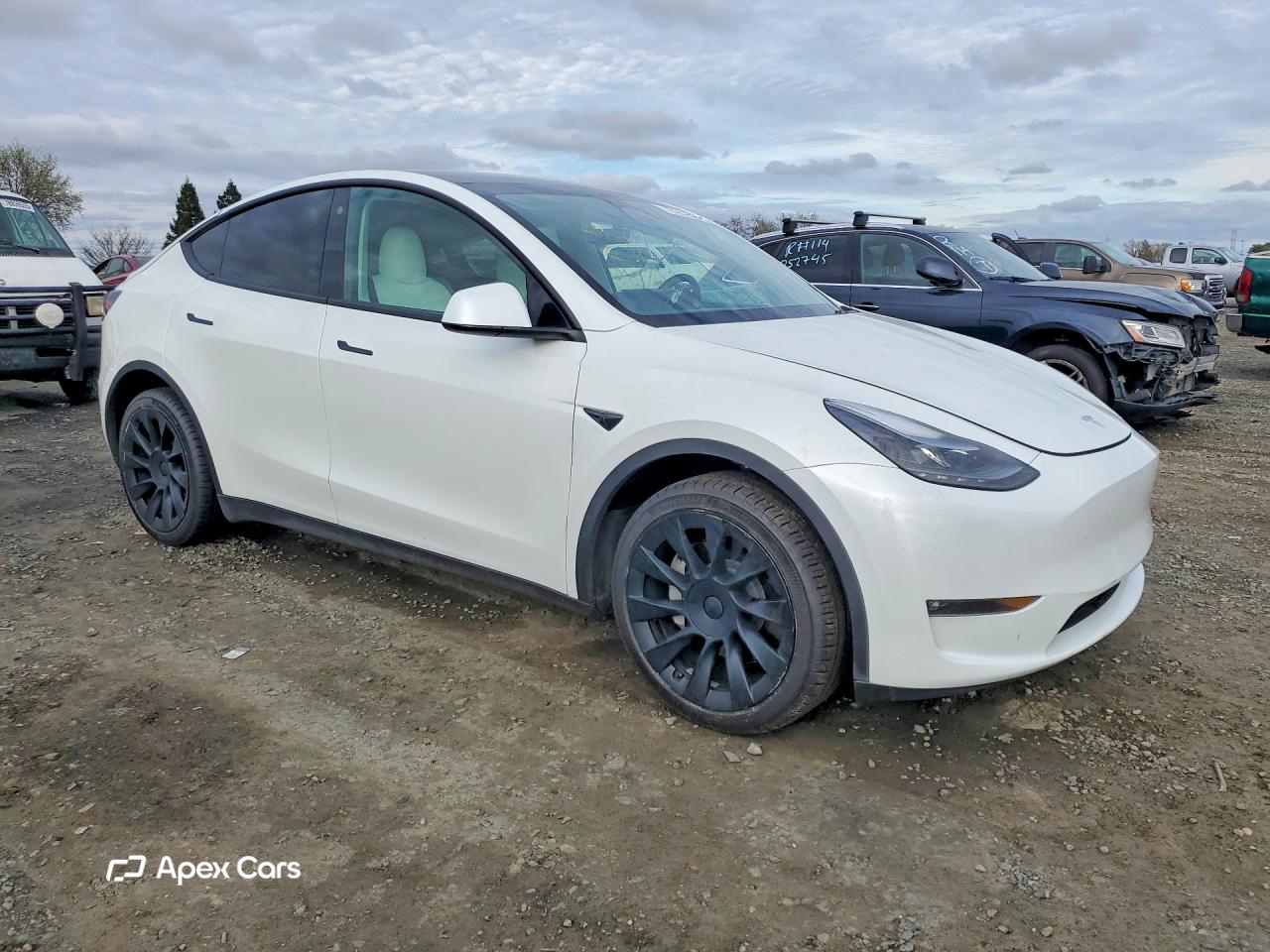 Tesla Model Y 2023