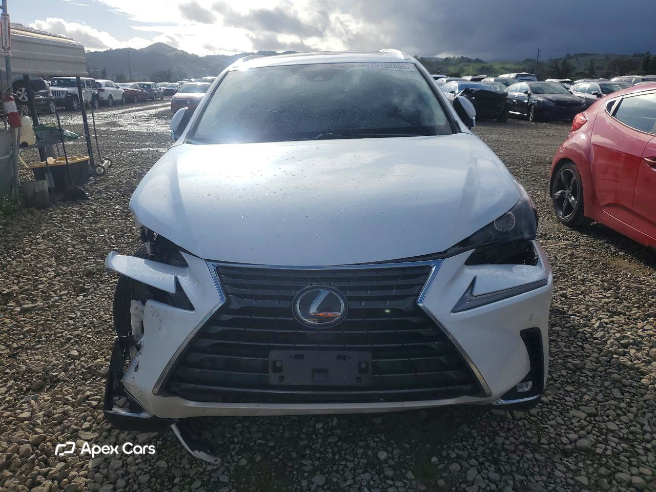 Lexus NX 2020
