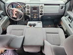 Ford F-150 2013