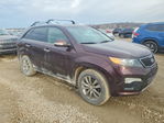 Kia Sorento 2013