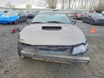 Ford Mustang 2001