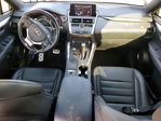 Lexus NX 2021