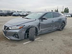 Nissan Maxima 2019