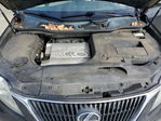 Lexus RX 2010
