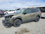 Subaru Forester 2024