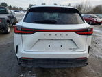 Lexus NX 2023