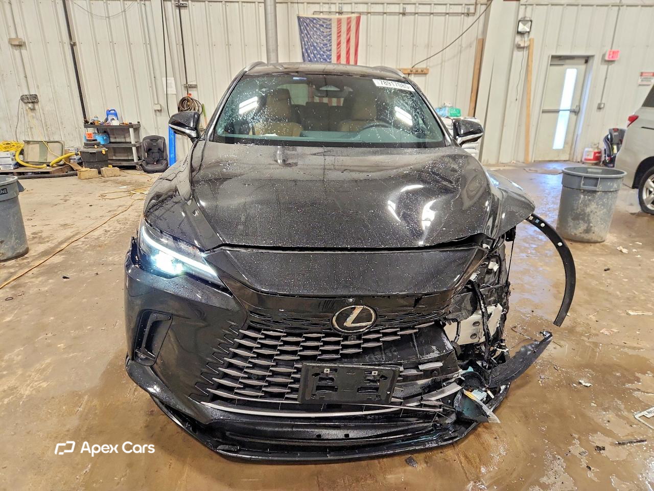 Lexus RX 2025
