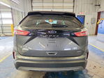 Ford Edge 2023