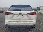 Lexus NX 2021