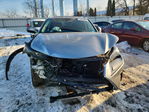 Lexus NX 2019