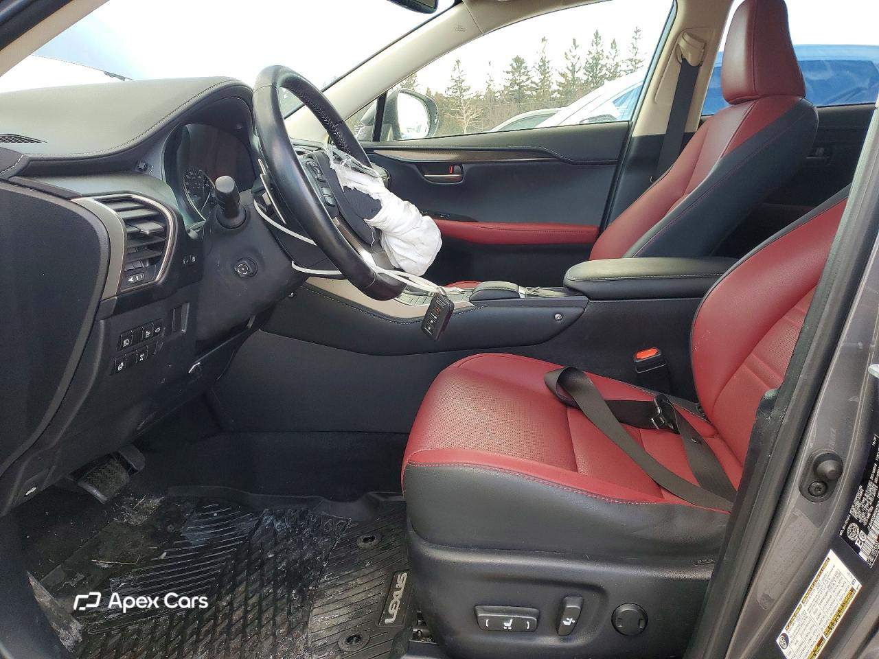 Lexus NX 2021