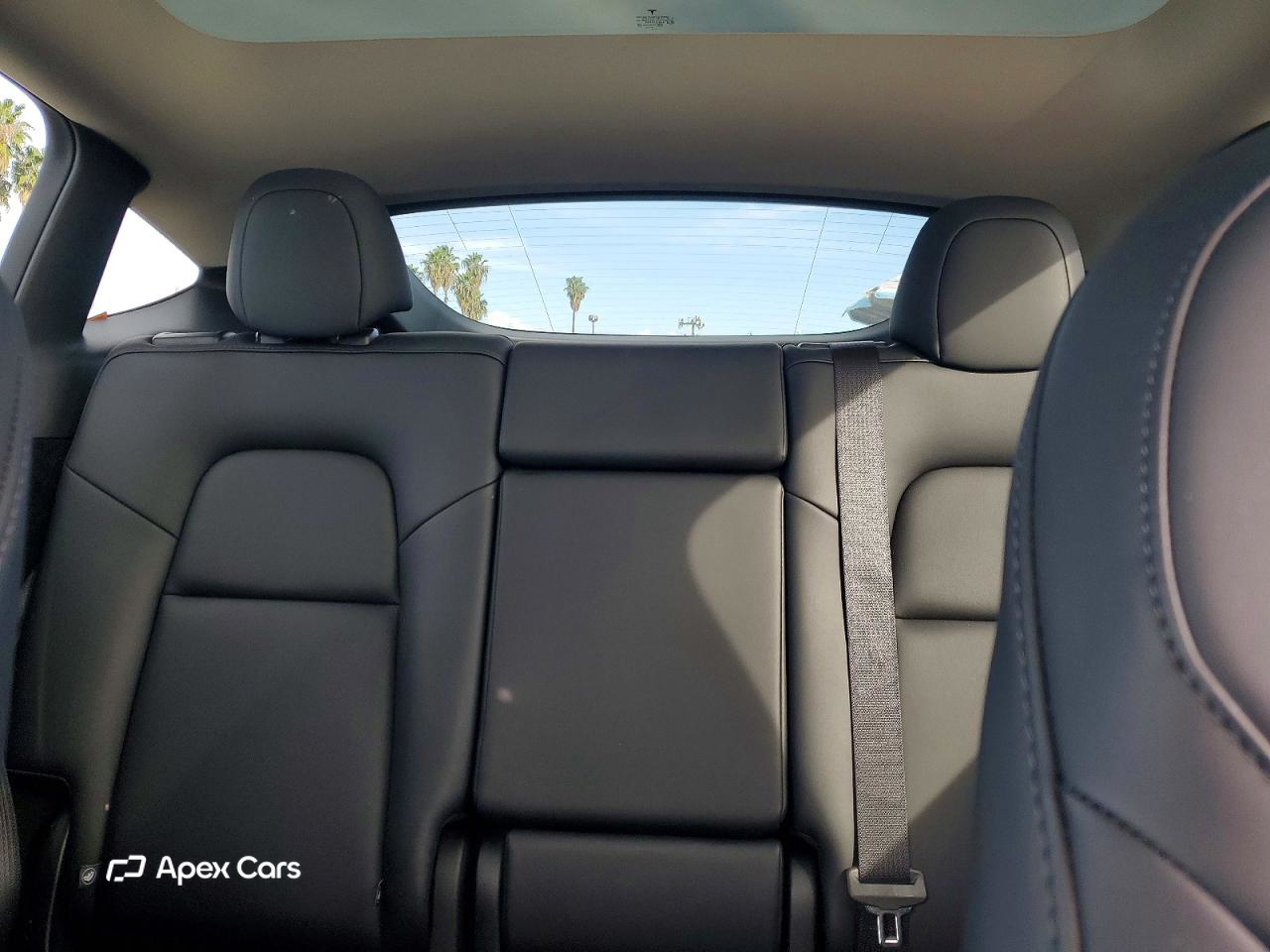Tesla Model Y 2025