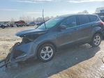 Ford Escape 2016