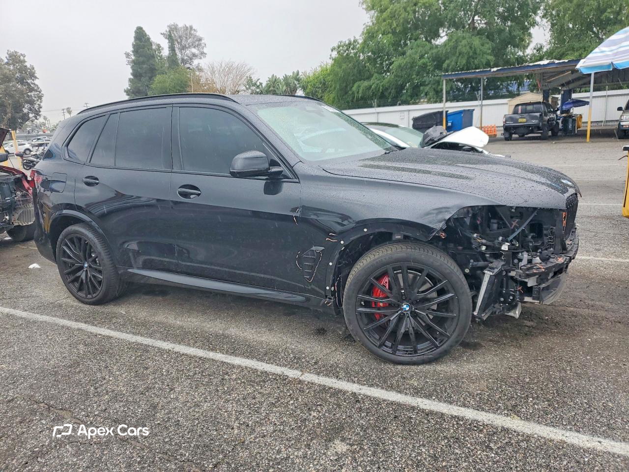 BMW X5 2025