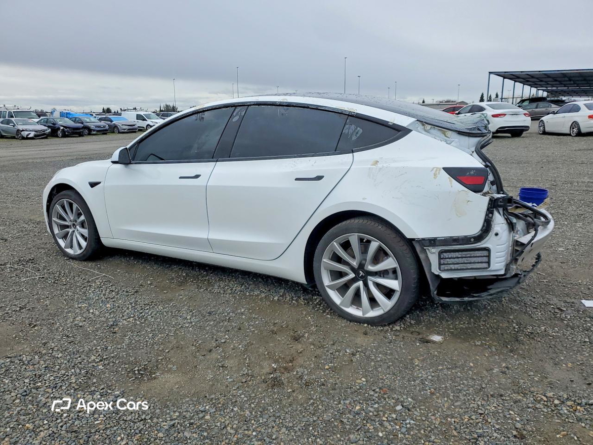 Tesla Model 3 2019