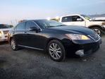 Lexus ES 2012