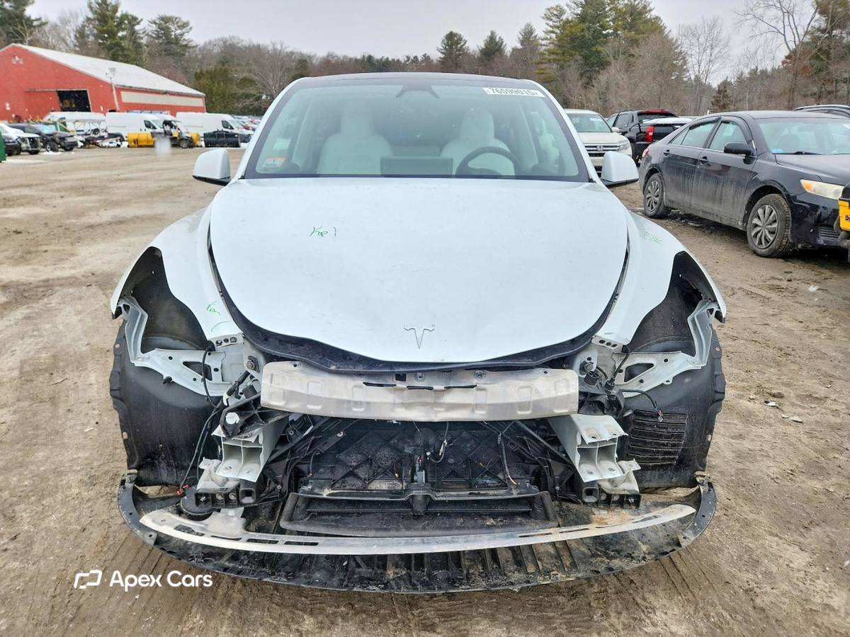 Tesla Model Y 2025