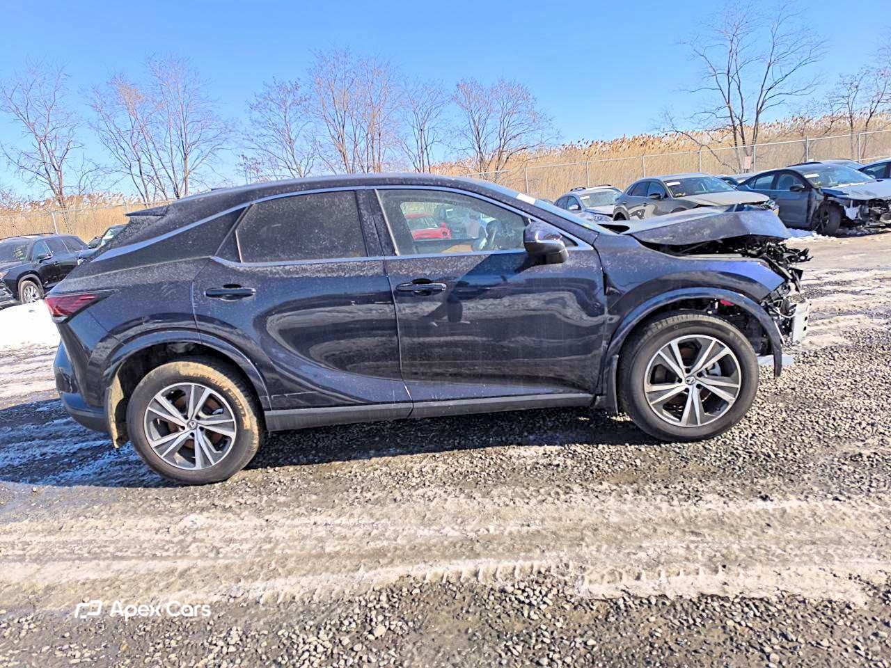 Lexus RX 2024