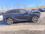 Lexus RX 2024