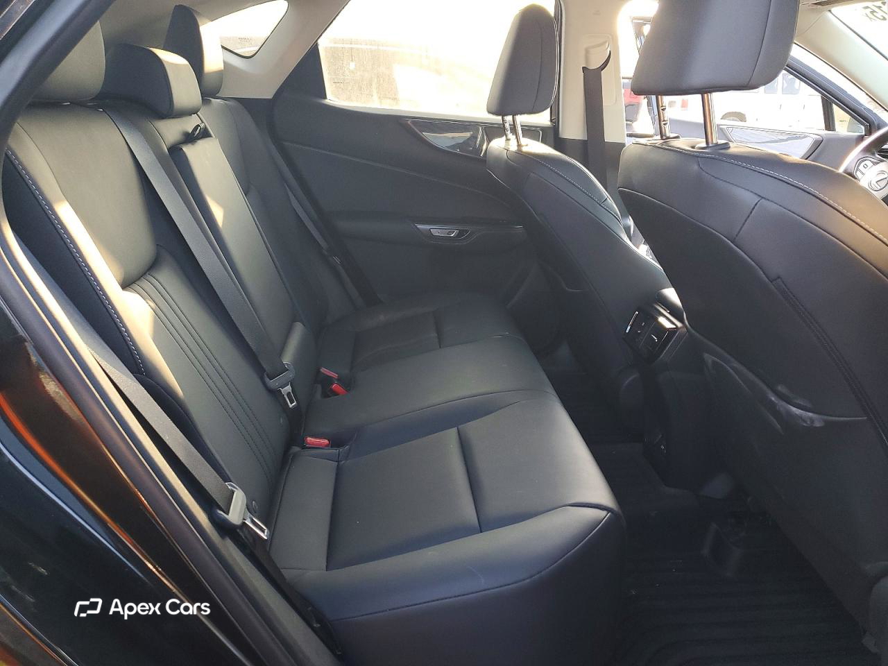 Lexus NX 2024