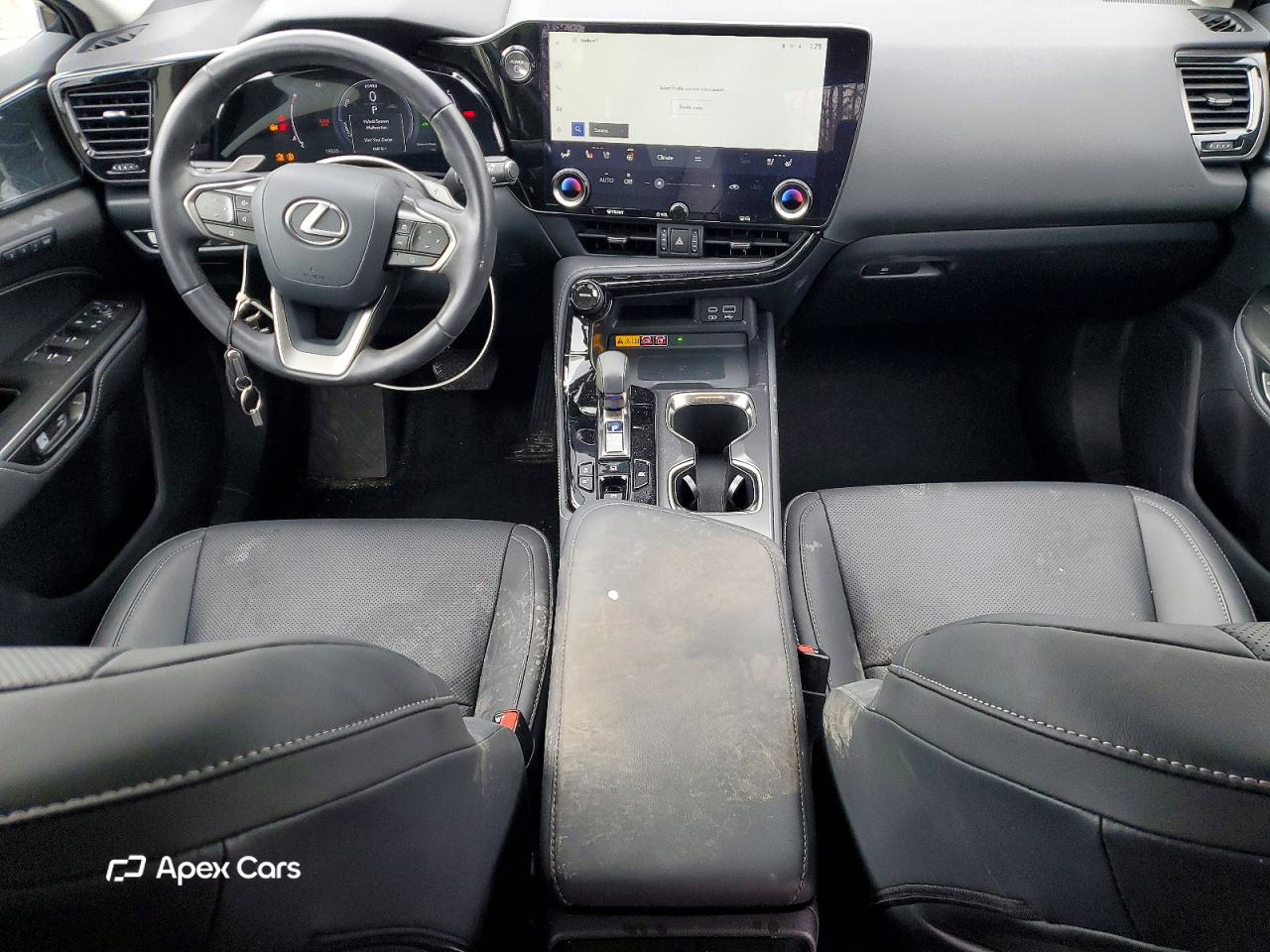 Lexus NX 2024