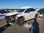 Lexus NX 2019