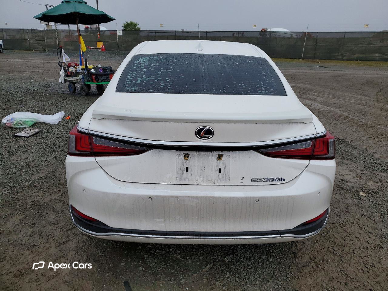 Lexus ES 2020