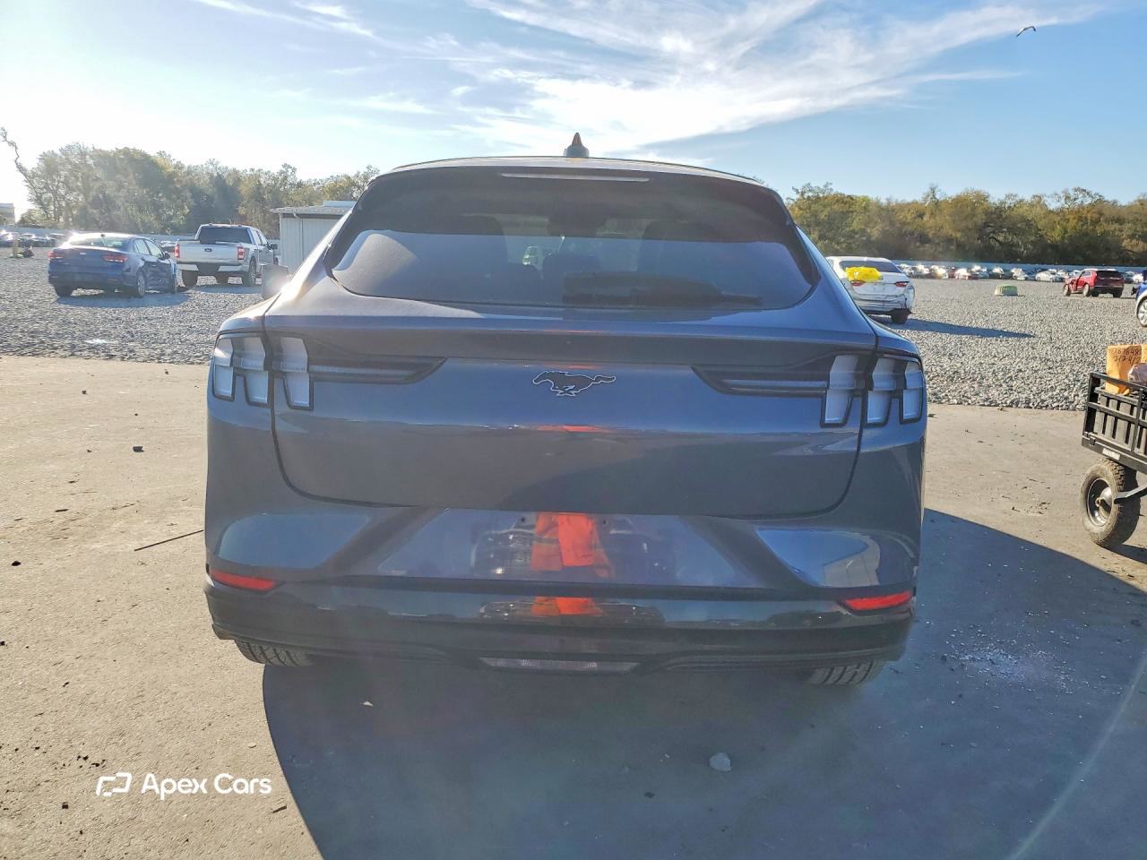Ford Mustang Mach-E 2021
