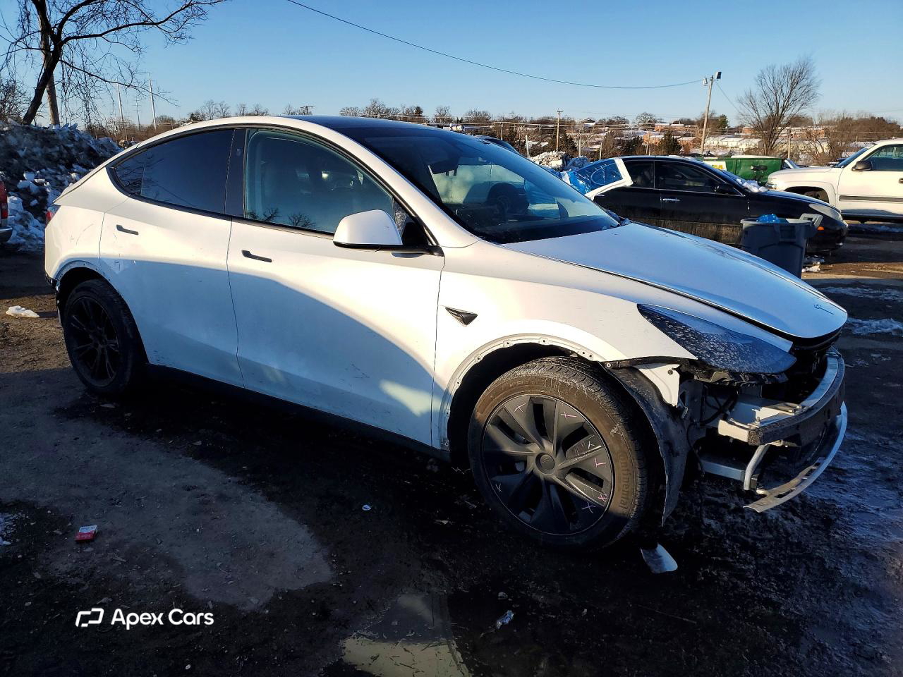 Tesla Model Y 2024