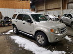Ford Escape 2008