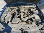 Ford Mustang 2008